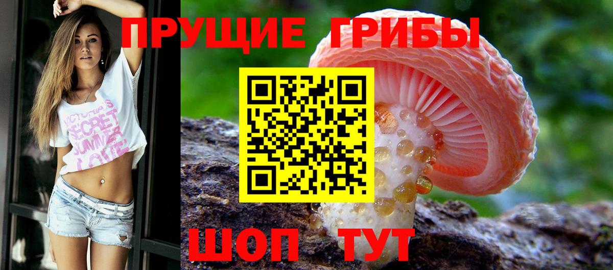Псилоцибиновые грибы мицелий Усть-Илимск