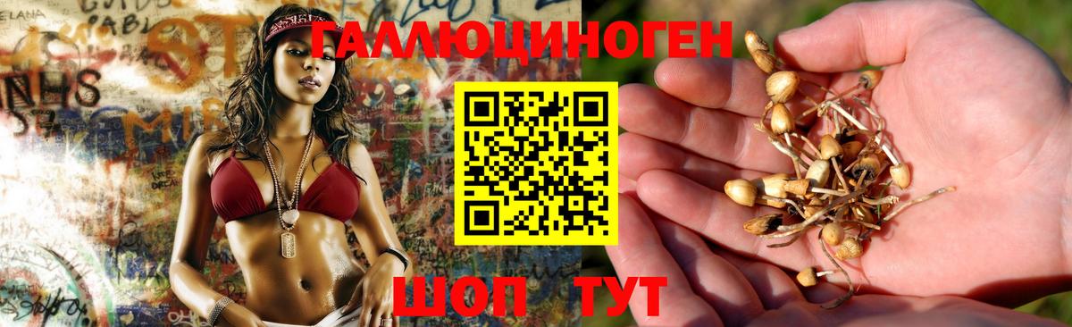 Усть-Илимск  Галлюциногенные грибы ЛСД  Вход с VPN  Галлюциногенные грибы GOLDEN TEACHER 