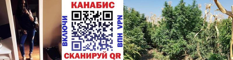 как найти наркотики  Усть-Илимск  Бошки марихуана ГИДРОПОН 